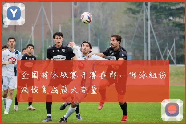 全国游泳联赛开赛在即，仰泳组伤病恢复成最大变量