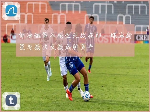 仰泳组第八轮生死战在即，蝶泳新星与接力交接成胜负手