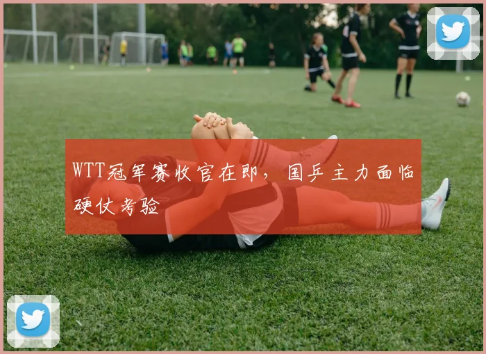 WTT冠军赛收官在即，国乒主力面临硬仗考验