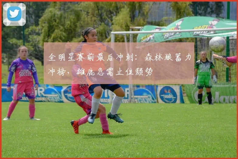 全明星赛前最后冲刺：森林狼蓄力冲榜，雄鹿急需止住颓势